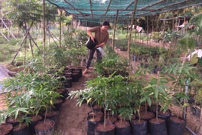 Nursing Forest Plants and Appreciating Biodiversity - Sustainable Tour - Common Questions