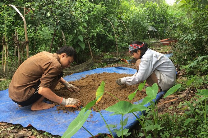Nursing Forest Plants and Appreciating Biodiversity - Sustainable Tour - The Sum Up