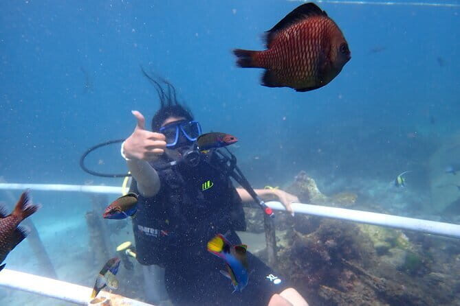 Nusa Dua Marine Parasailing Adventure,Tubing Ride and Diving Experience - Good To Know