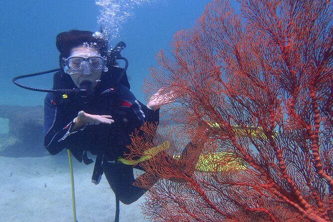 Nusa Dua Marine Parasailing Adventure,Tubing Ride and Diving Experience - Instructors and Safety Guidelines