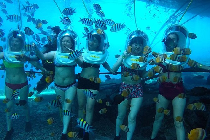 Nusa Dua Sea Walking Experience (Feb ) - Good To Know
