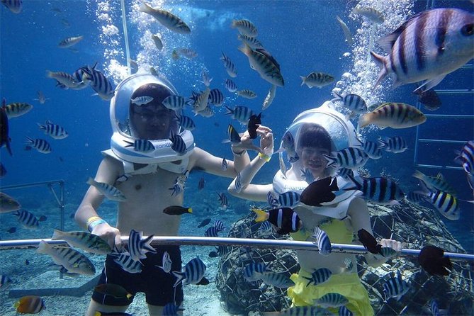 Nusa Dua Sea Walking Experience (Feb ) - Sea Walking Experience Highlights