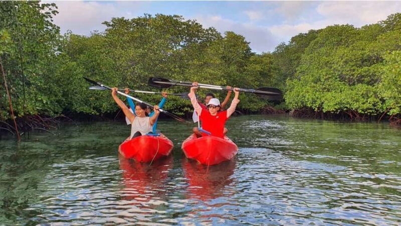 Nusa Dua: Suwung Mangrove Glass Bottom Boat Tour - Nusa Dua: Suwung Mangrove Glass Bottom Boat Tour – A Deep Dive into Bali’s Green Waters