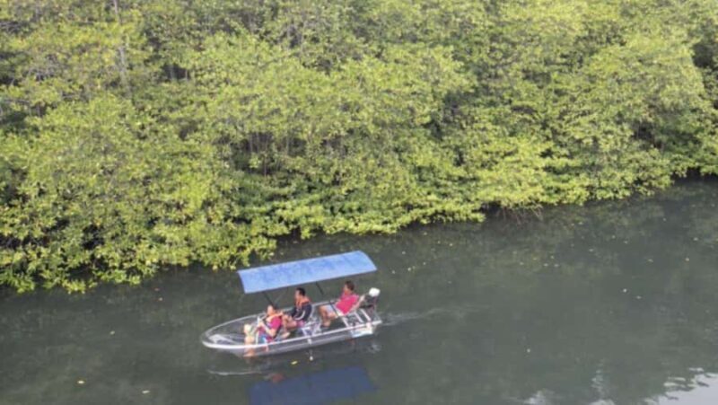 Nusa Dua: Suwung Mangrove Glass Bottom Boat Tour - Good To Know