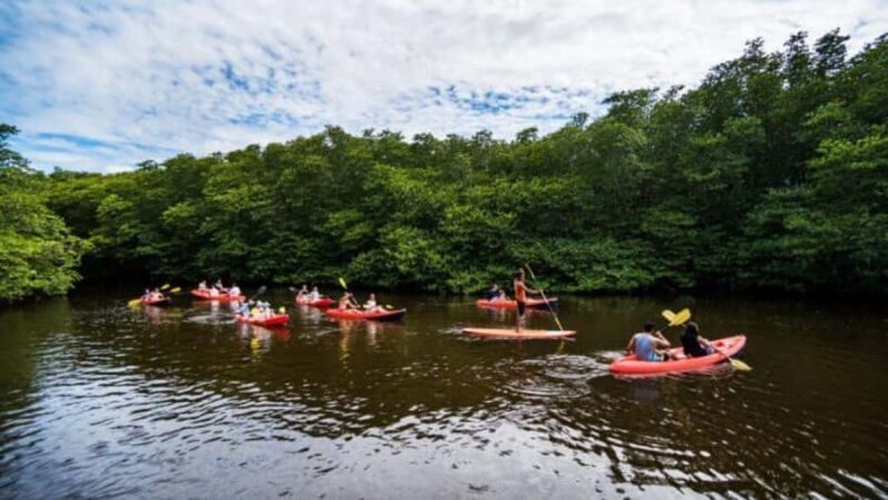 Nusa Dua: Suwung Mangrove Glass Bottom Boat Tour - Final Thoughts: Is It Worth It?