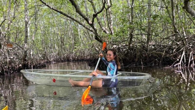 Nusa Dua: Suwung Mangrove Glass Bottom Boat Tour - The Value of the Experience