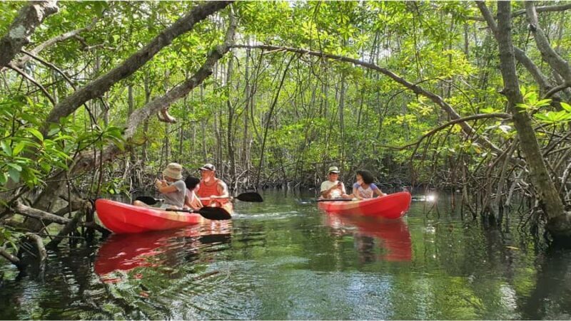 Nusa Dua: Suwung Mangrove Glass Bottom Boat Tour - Good To Know