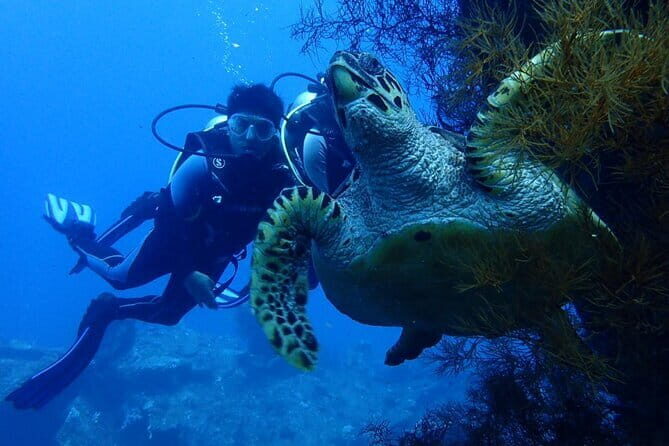 Nusa Dua Watersport : Parasailing Adventure, Tubing Ride, Banana and Fly Fish - The Sum Up