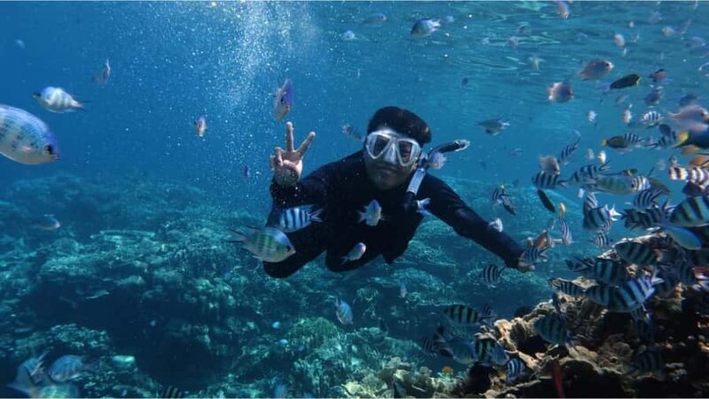 Nusa Dua: Watersports Packages and Turtle Conservation Tour - Good To Know