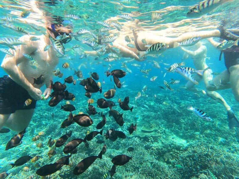 Nusa Lembongan and Nusa Penida: 2-Day Tour - FAQs