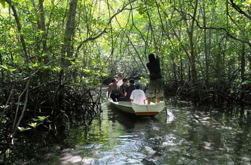 Nusa Lembongan and Nusa Penida: 2-Day Tour - Who Should Consider This Tour?