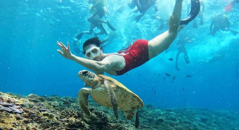Nusa Lembongan from Bali: 3 Spots Snorkeling & Islands Tour - Highlights of the Tour