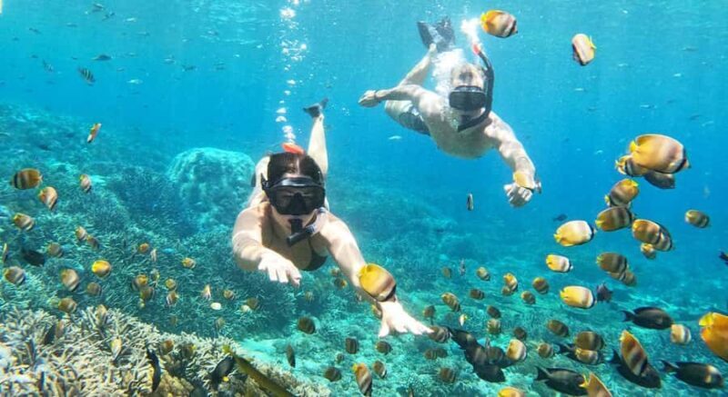 Nusa Lembongan from Bali: 3 Spots Snorkeling & Islands Tour - Good To Know