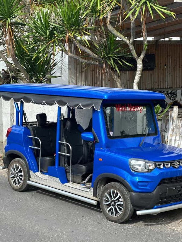 Nusa Lembongan: Gasoline Buggy Car Rental with Fuel - Practical Details That Matter  