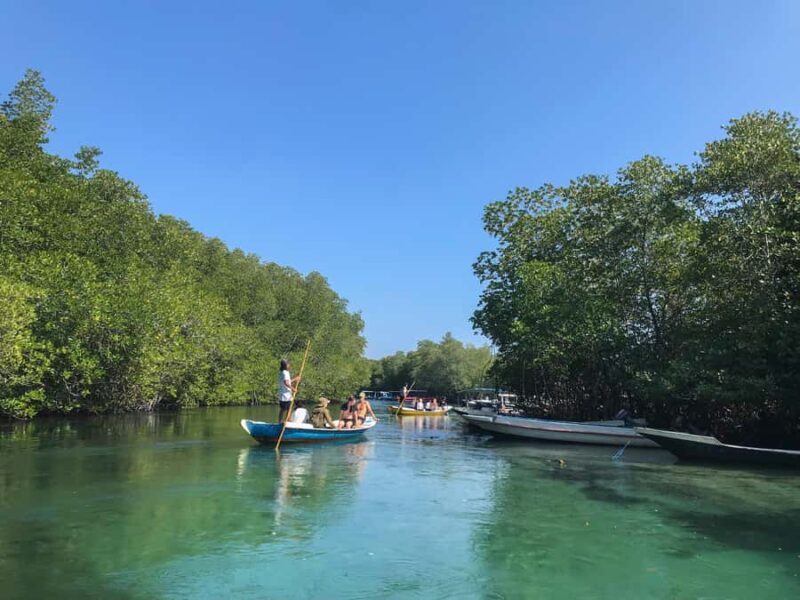 Nusa Lembongan Mangrove & Island Tour - Authentic Insights from Reviews