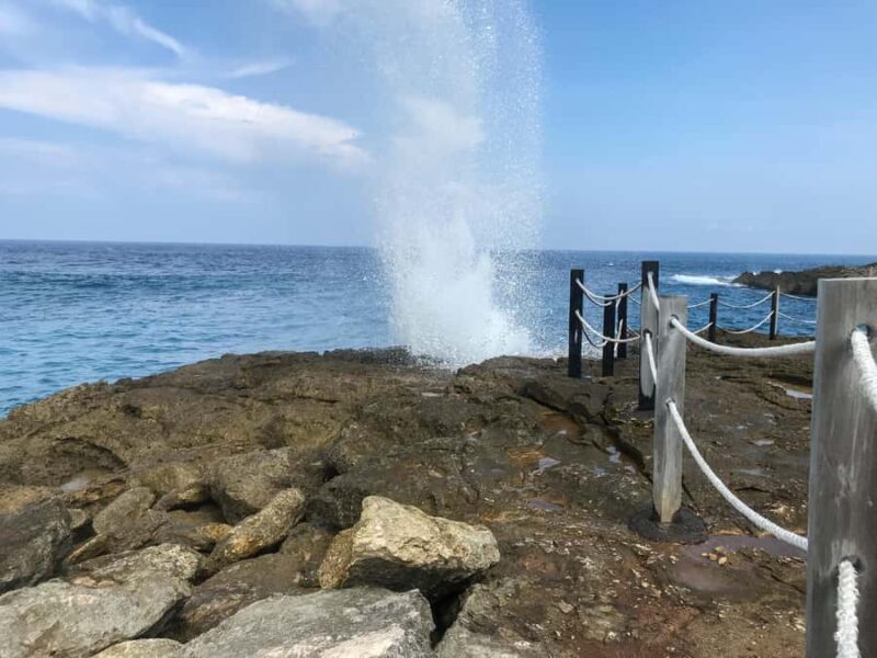 Nusa Lembongan Mangrove & Island Tour - FAQs