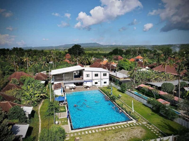 Nusa Lembongan: Scuba Diving Trip with Manta Ray and Sunfish - Good To Know