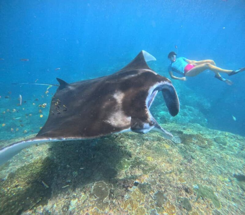 Nusa Penida: 3-Spot Snorkeling Experience & West Island Tour - Who Is This Tour Best For?