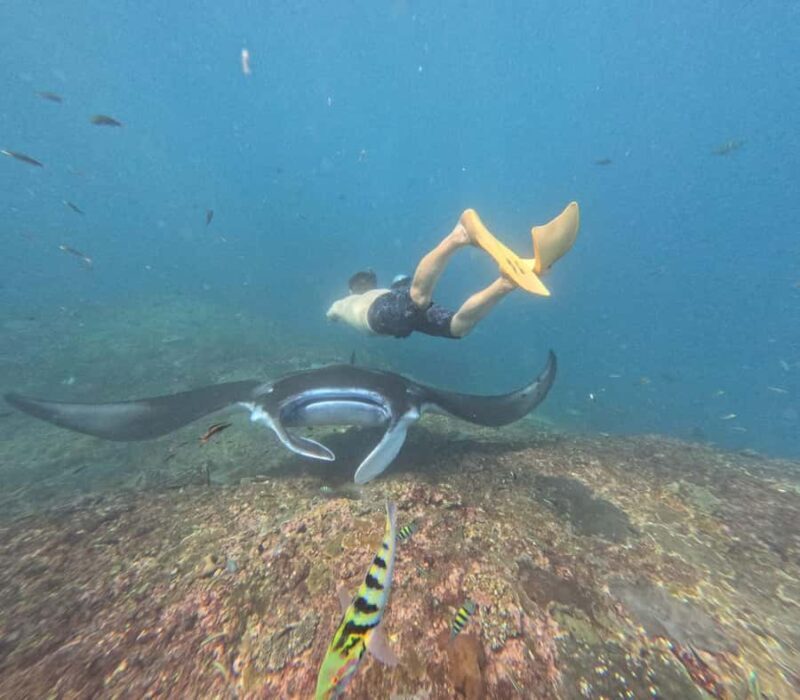 Nusa Penida: 3-Spot Snorkeling Experience & West Island Tour - Final Thoughts: Who Is This Tour Best For?