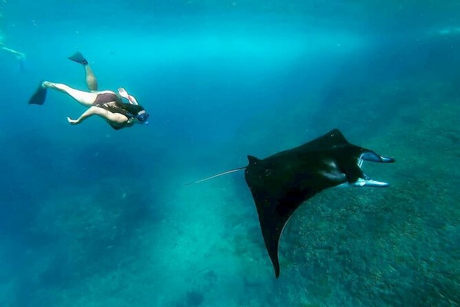 Nusa Penida 4 Point Snorkeling With Manta Bay & Island Tour - Reviews and Ratings