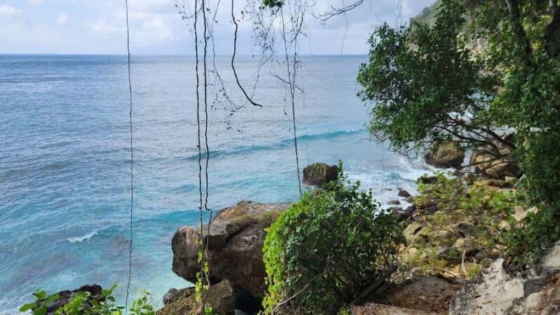 Nusa Penida: All Inclusive Penida Tour island With Snorkel - The Logistics & Comfort of the Tour