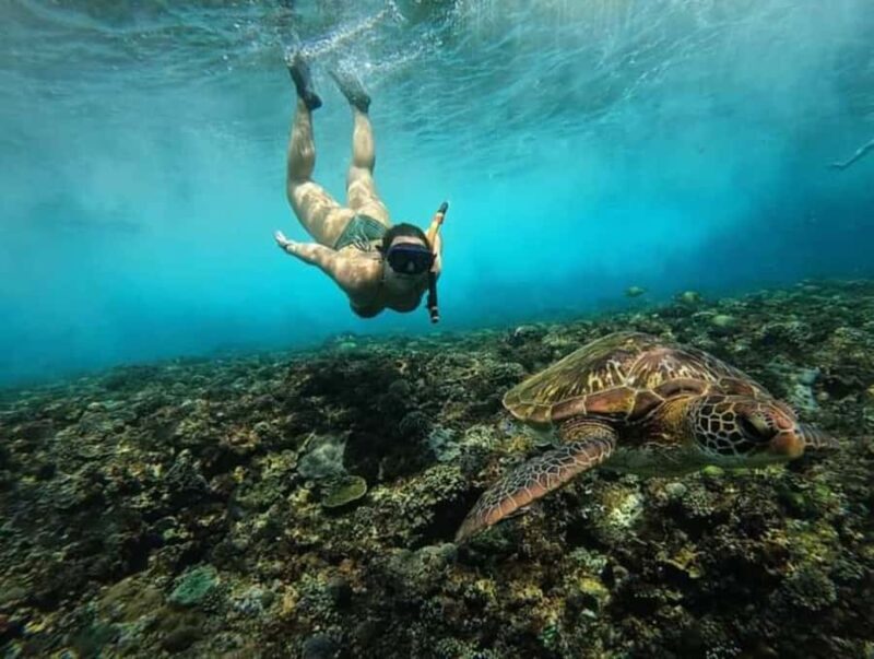 NUSA PENIDA ALL-INCLUSIVE WEST TRIP WITH 3 SPOT SNORKLING - Who is this tour best suited for?