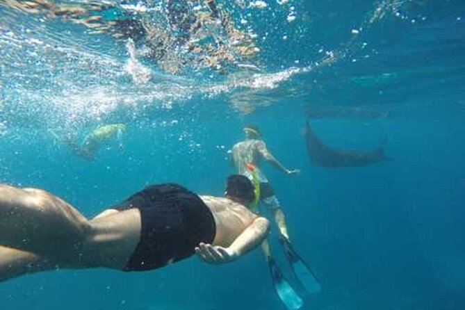 Nusa Penida Aquatic Bliss Unforgettable Snorkeling Adventure - Snorkeling Gear Provided