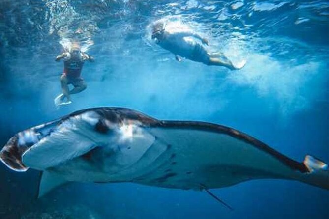 Nusa Penida Aquatic Bliss Unforgettable Snorkeling Adventure - Crystal Clear Waters