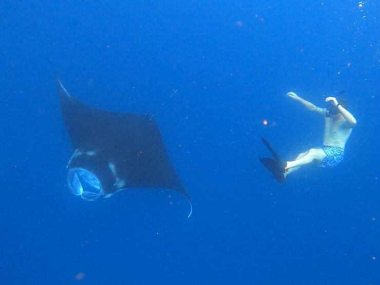 Nusa Penida: Boat Trip to 4 Snorkeling Spots With Instructor - Booking Details