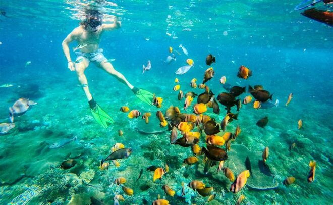 Nusa Penida: Bungee Jumping and Snorkeling Adventure - Important Information
