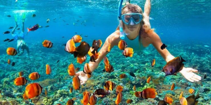 Nusa Penida Day Trip - Itinerary Highlights