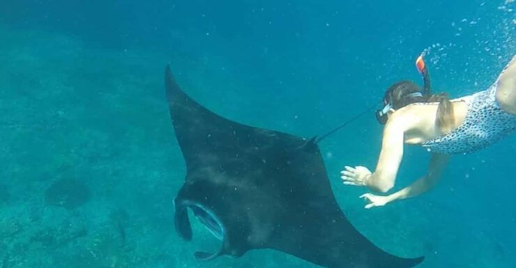 Nusa Penida : Discover Snorkeling and West Island Adventure - Key Points