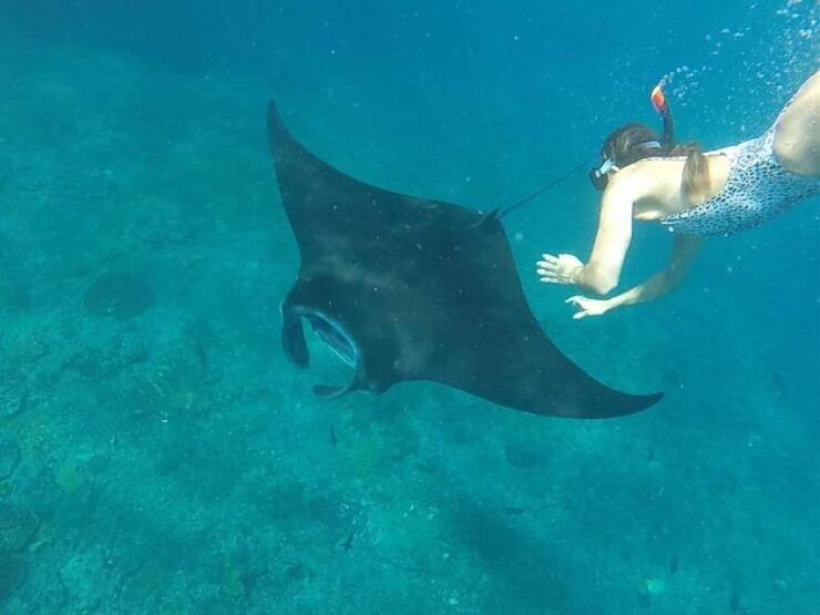 Nusa Penida : Discover Snorkeling and West Island Adventure - Pricing Details