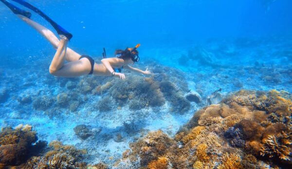 Nusa Penida : Discover Snorkeling and West Island Adventure - Recommended Gear