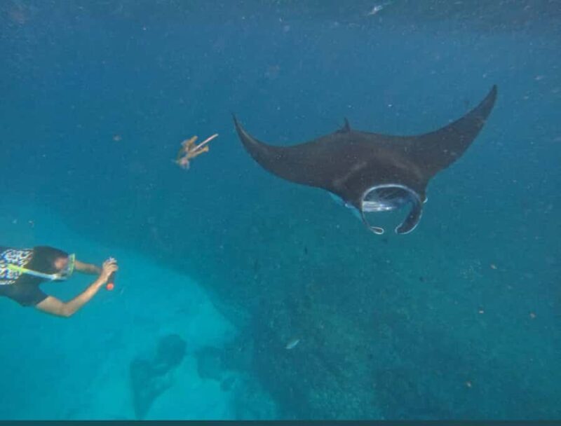 Nusa Penida: Early Morning Snorkeling and Island Tour - The Sum Up