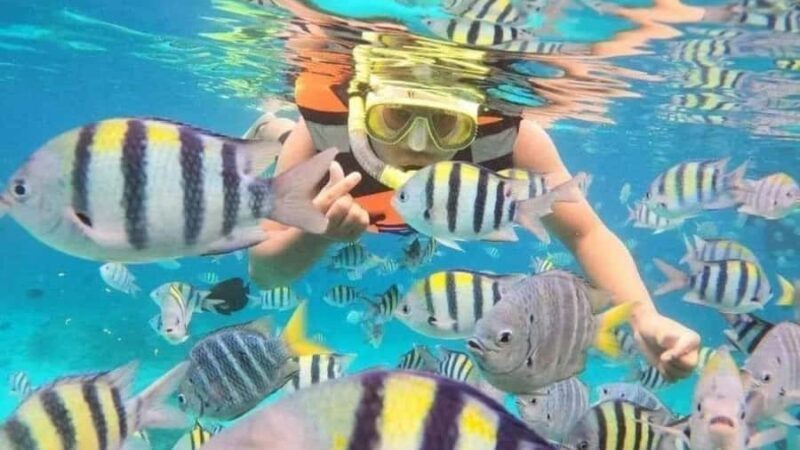 Nusa Penida: East Coast Snorkeling Tour with GoPro - A Detailed Look at the Tour