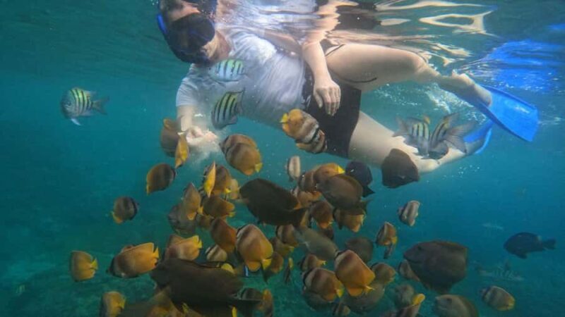 Nusa Penida: East Coast Snorkeling Tour with GoPro - FAQ