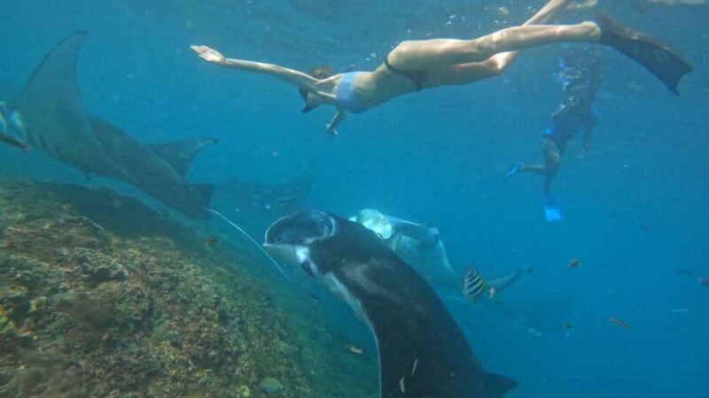 Nusa Penida: East Coast Snorkeling Tour with GoPro - An In-Depth Look at the Nusa Penida East Coast Snorkeling Tour