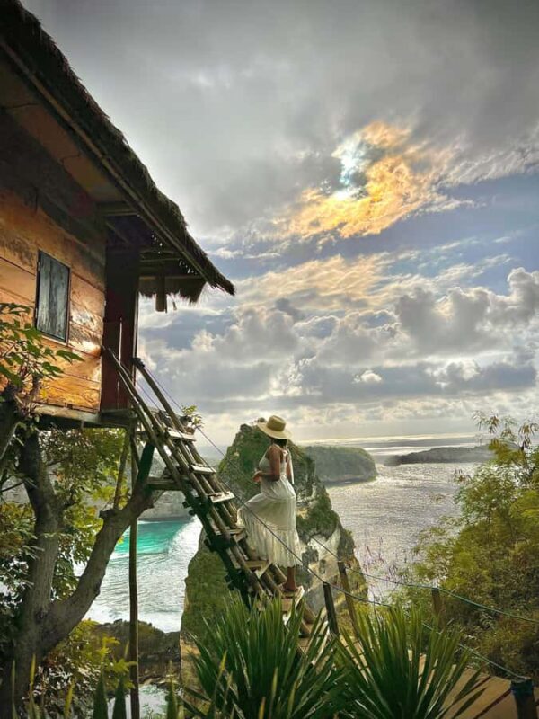 Nusa Penida East Island Private Tour with Tree House - Exploring Nusa Penida East Island Private Tour with Tree House: An Honest Review