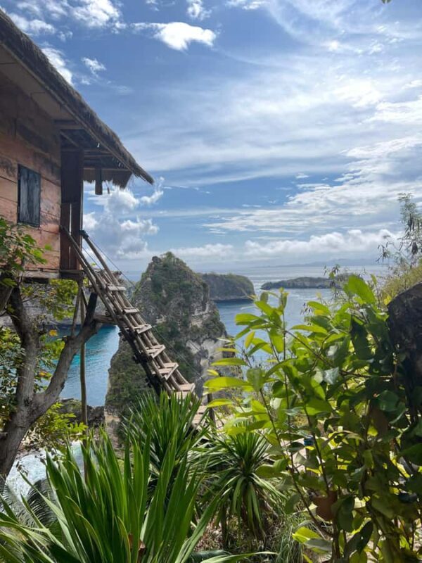 Nusa Penida East Island Private Tour with Tree House - Why This Tour Offers Great Value