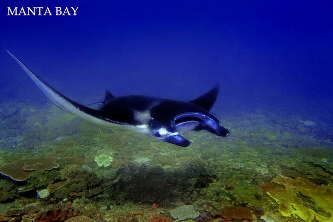 Nusa Penida East Tour With 3 - 4 Spots Snorkeling (All-Inclusive) - Tour Itinerary Overview