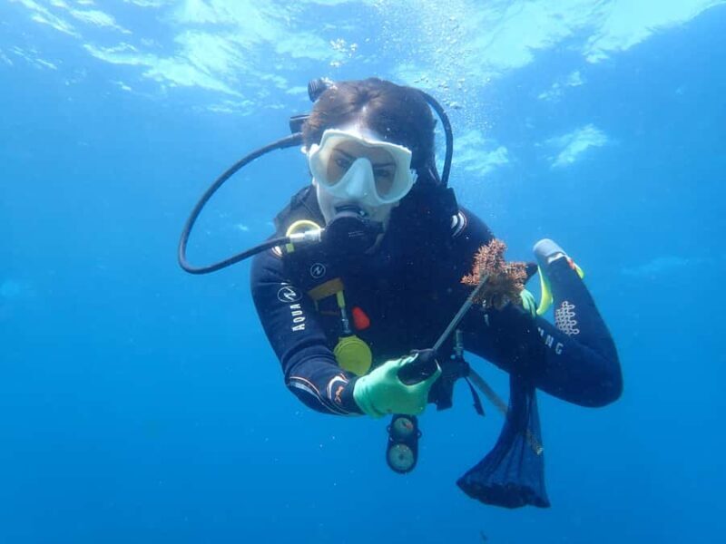 Nusa Penida: Ecotourism, 7-Days of Conservation & Culture - Note: This tour is rated 5 stars by Eco Tourism Nusa Penida, reflecting high-quality service, knowledgeable guides, and authentic experiences that deliver genuine value.