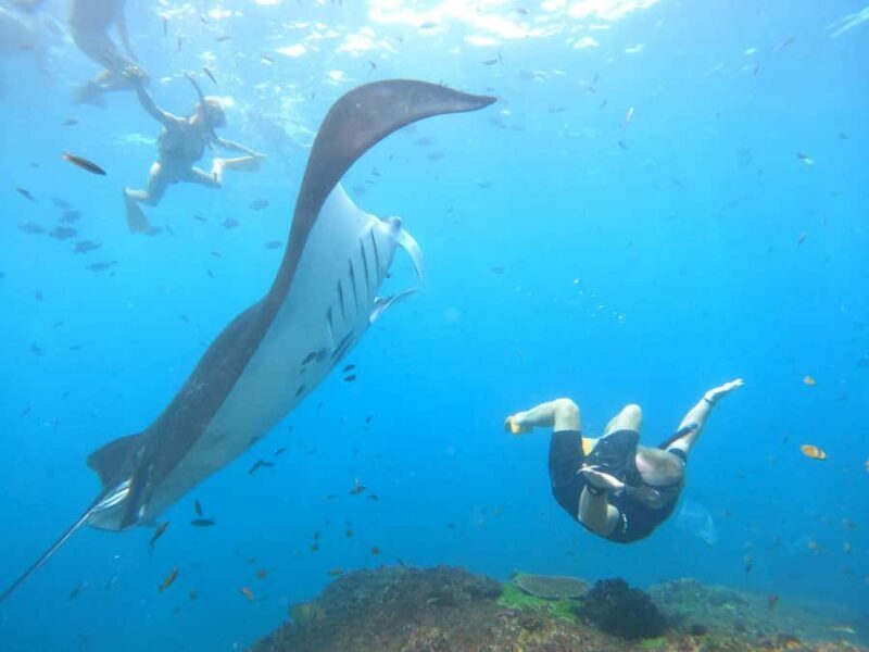 Nusa Penida: Full Day Private Snorkeling With Manta Ray - Good To Know