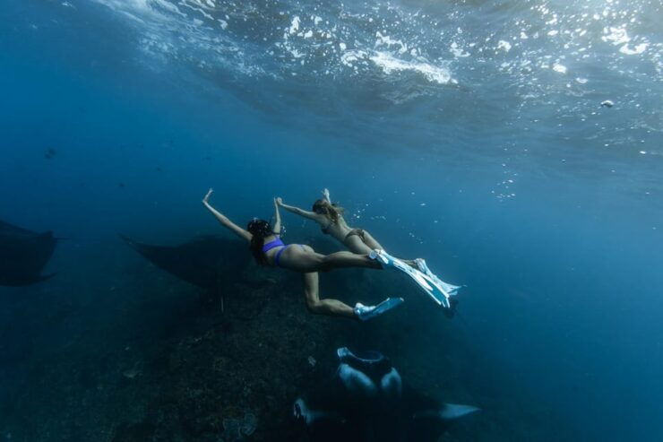 Nusa Penida: Full Day Snorkeling 4 Spots With Private Boat - Key Points