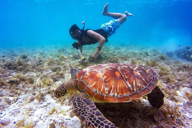 Nusa Penida: Full Day Snorkeling 4 Spots With Private Boat - Snorkeling Spots Explored