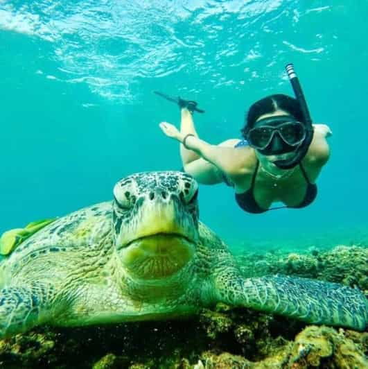 Nusa Penida Highlight: Snorkeling Spots and Full-Day Tour - Key Points