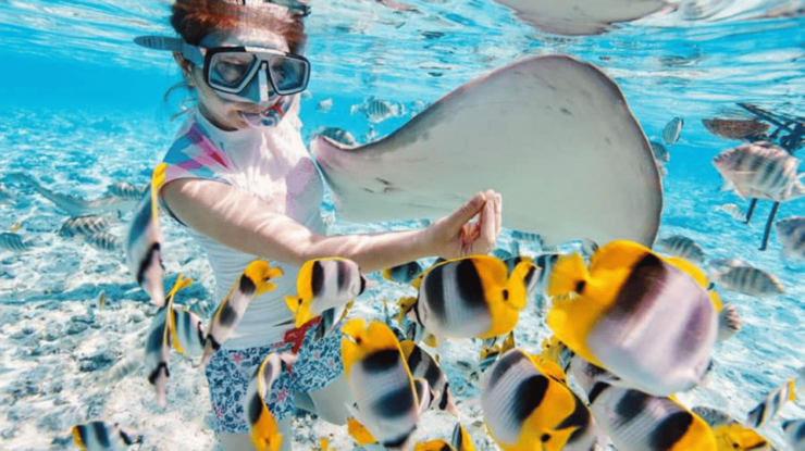 Nusa Penida Highlight: Snorkeling Spots and Full-Day Tour - Itinerary and Activities