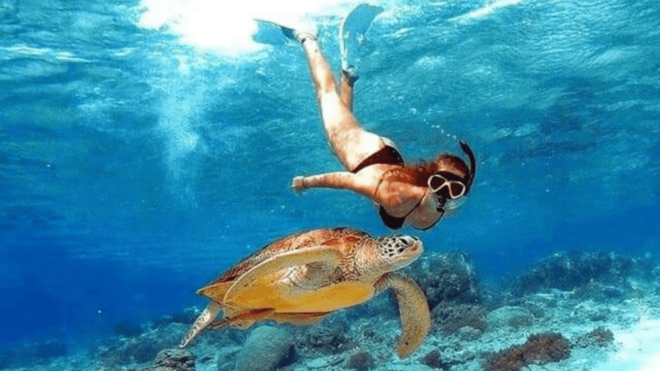 Nusa Penida Highlight: Snorkeling Spots and Full-Day Tour - Highlights and Experiences