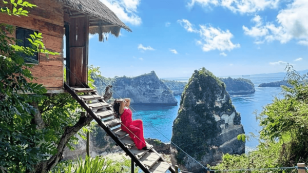 Nusa Penida Highlight: Snorkeling Spots and Full-Day Tour - Customization Options