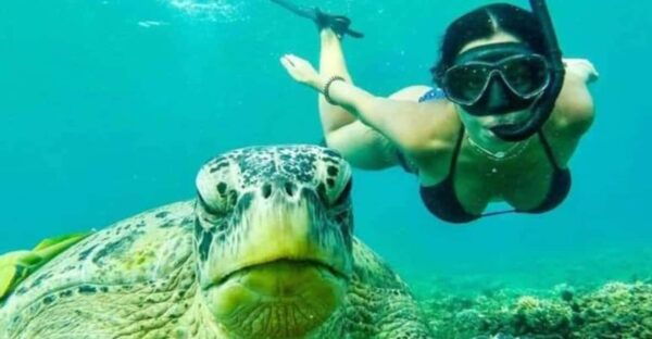 Nusa Penida Highlight: Snorkeling Spots and Full-Day Tour - Questions You May Have